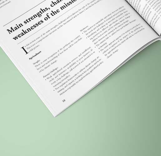 Publication Design for IFMR